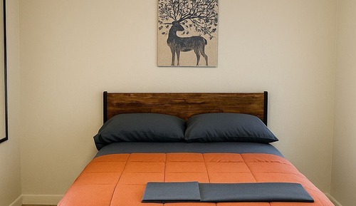 Basic Double Room