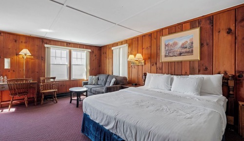 Standard Room, 1 King Bed with Sofa bed