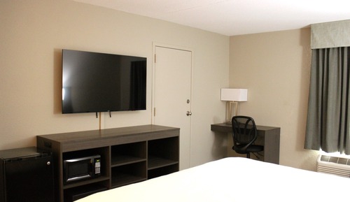Single Room, 1 King Bed, Non Smoking (Guestroom)