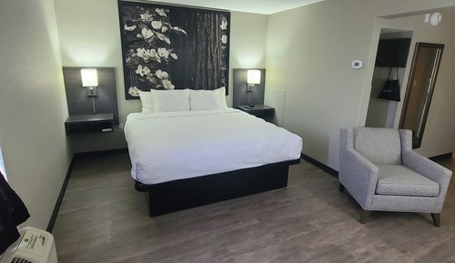Suite, 1 King Bed, Non Smoking, Jetted Tub (Single, Mini Bar )