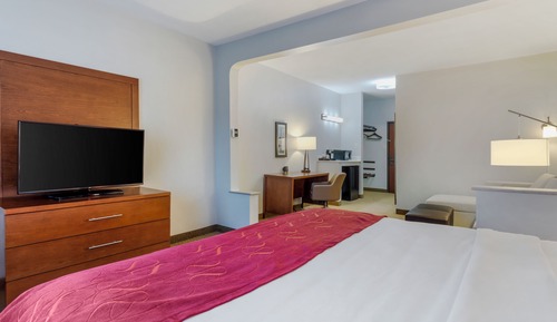 Standard Single Room, 1 King Bed with Sofa bed, Non Smoking