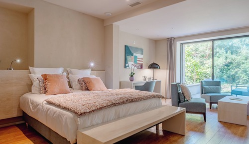 Suite, 1 King Bed, Mobility Accessible (Mésange)