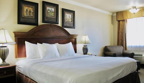 Business Single Room, 1 King Bed, Non Smoking