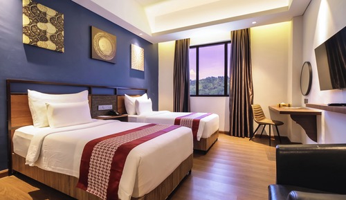 Deluxe Twin Room, Mountain View