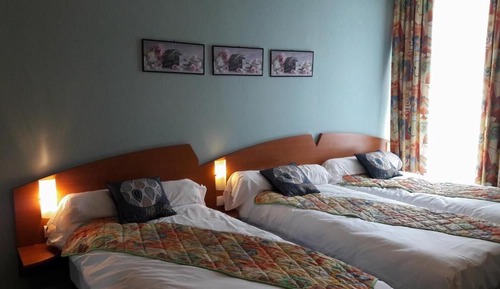 Comfort Twin Room