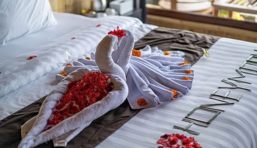 Superior Room, Mountain View