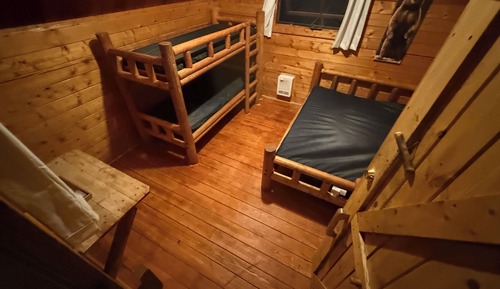 Premium Cabin, Multiple Beds, Courtyard View