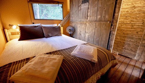 Comfort Lodge