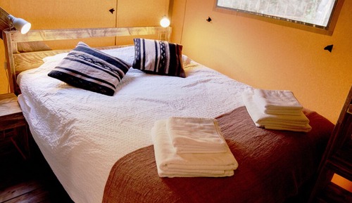 Luxury Lodge