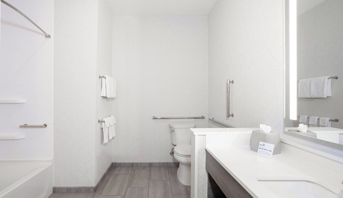 Standard Room, 1 King Bed, Accessible (Mobility)