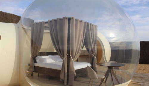Standard Suite, Mountain View