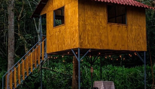 Romantic Tree House, Garden View