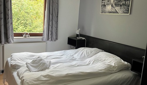 Basic Double Room