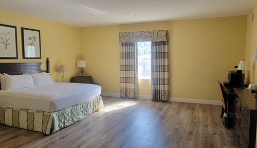 Standard Single Room, Mobility Accessible, Garden View