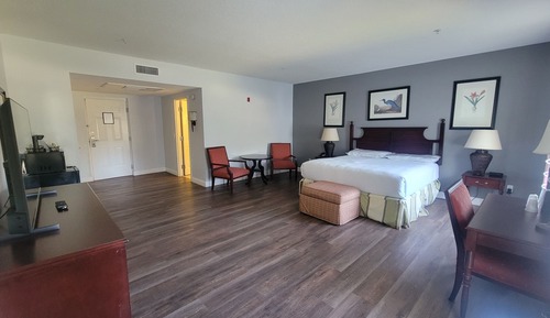Superior Single Room, Garden View