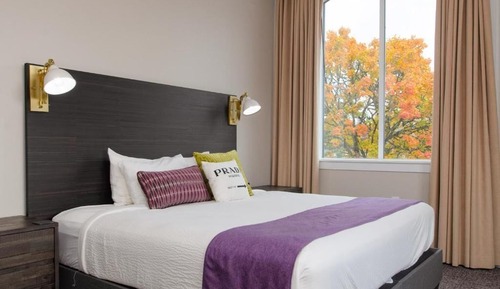 Junior King Suite