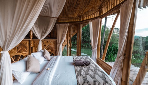 Butterfly Bamboo house