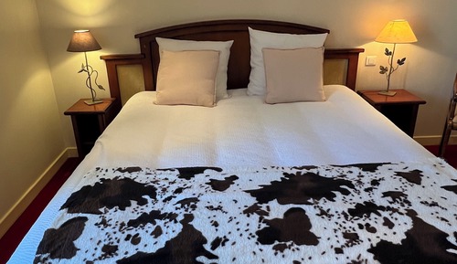 Deluxe Room, Mountain View