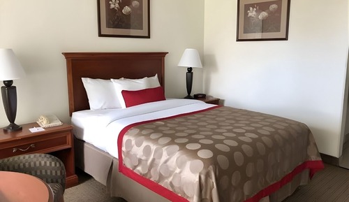 Standard Room, 1 Queen Bed, Mobility Accessible, Non Smoking