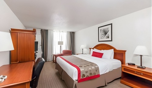 Deluxe Room, 1 King Bed, Non Smoking
