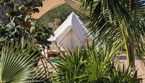 Tent, 1 Bedroom