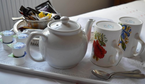 Comfort Single Room, Garden View