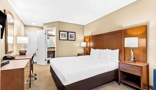 Standard Single Room, 1 King Bed, Non Smoking