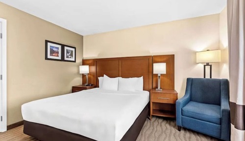 Standard Single Room, 1 King Bed, Mobility Accessible, Non Smoking