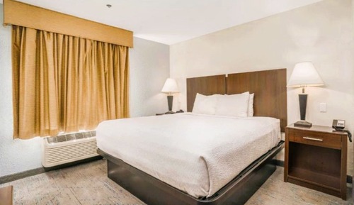 Traditional Room, 1 King Bed, Non Smoking