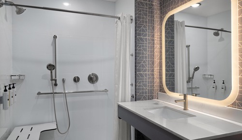 Studio, 1 King Bed, Accessible (Mobility & Hearing, Roll-In Shower)