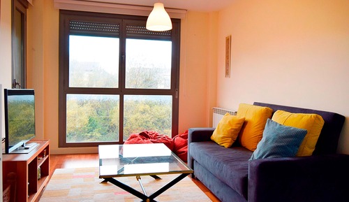 Basic Apartment