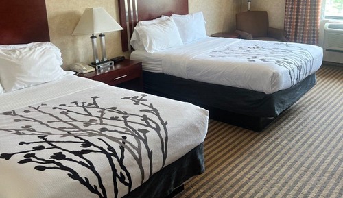 Standard Room, 2 Double Beds