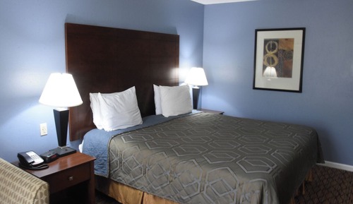 Single Room, 1 King Bed