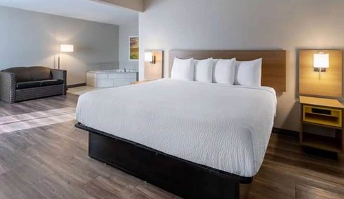 Standard Studio Suite