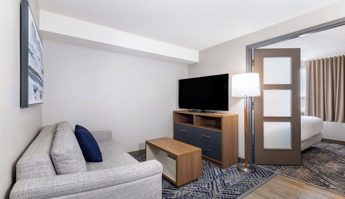 Room, 1 Bedroom (Sofa Bed)
