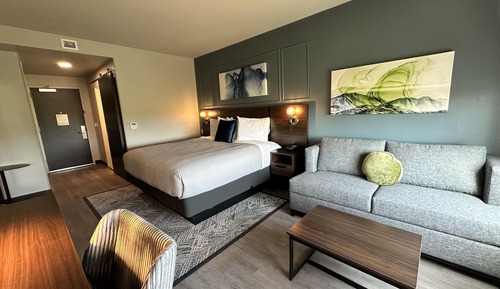 Standard Room, 1 King Bed, Non Smoking, Refrigerator & Microwave (with Sofabed)