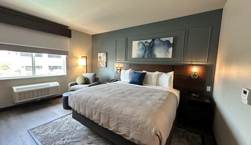 Standard Room, 1 King Bed, Non Smoking, Refrigerator & Microwave