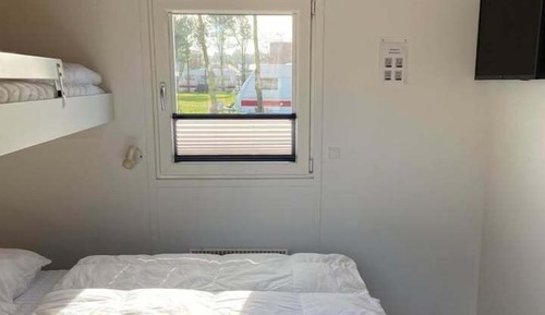 Basic Cabin