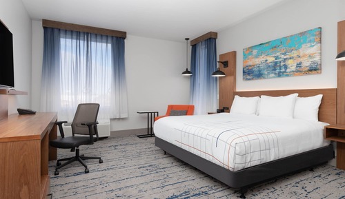 Room, 1 King Bed, Mobility Accessible, Non Smoking (Roll-in Shower)
