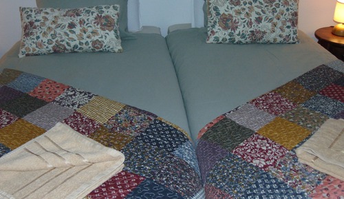 Basic Twin Room