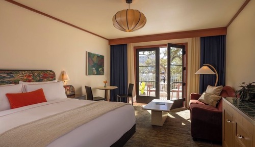 Room, 1 King Bed, Terrace