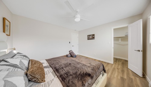 Classic Apartment