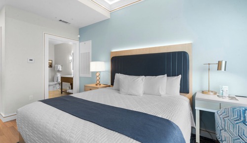 Standard Single Room, 1 King Bed with Sofa bed