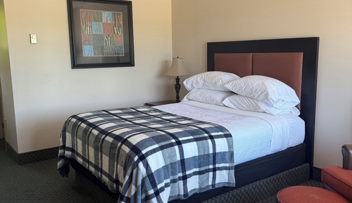 Room, 1 Queen Bed, Mountain View