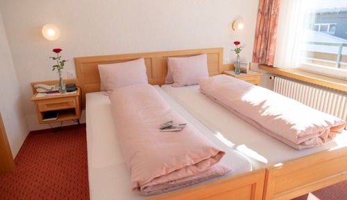 Basic Double Room, Mountain View