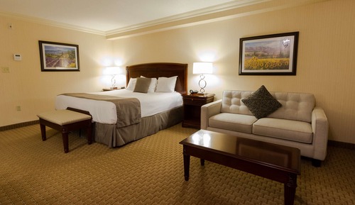 Standard Room, 1 King Bed, Non Smoking, Refrigerator (with Sofabed)