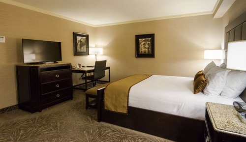 Standard Room, 1 King Bed, Accessible, Non Smoking (Walk-in Shower)