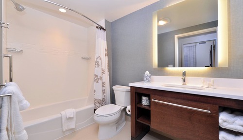 Suite, 1 Bedroom (Mobility/Hearing Access, Roll-In Shwr)