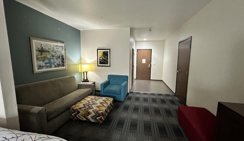 Standard Room, 1 King Bed, Non Smoking, Refrigerator & Microwave (Larger Room;with Sofabed)