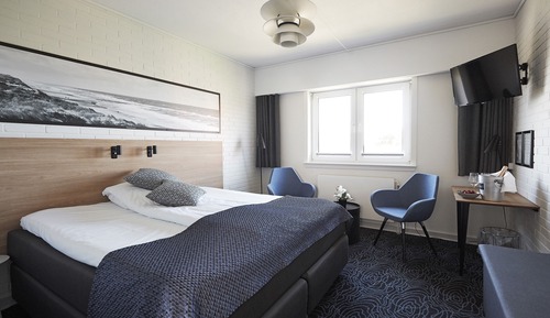 Standard Room, 1 King Bed, Accessible, City View